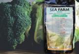 SEA FARM