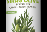 SIRAG OLIVE 