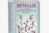 SETALLIS