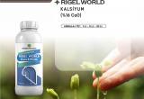 Rigel World Kalsiyum