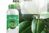 RICH