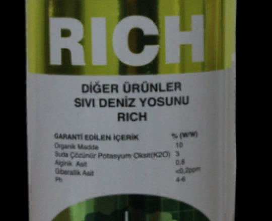 RICH
