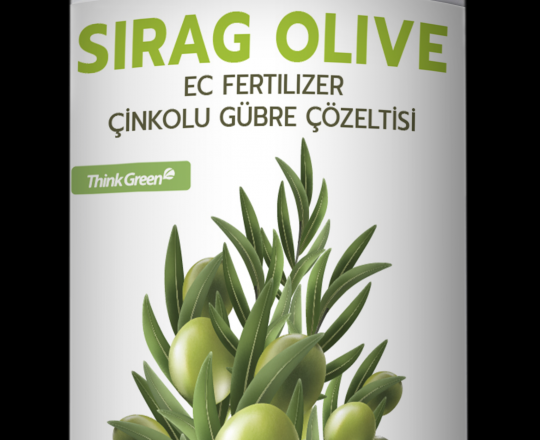 SIRAG OLIVE 