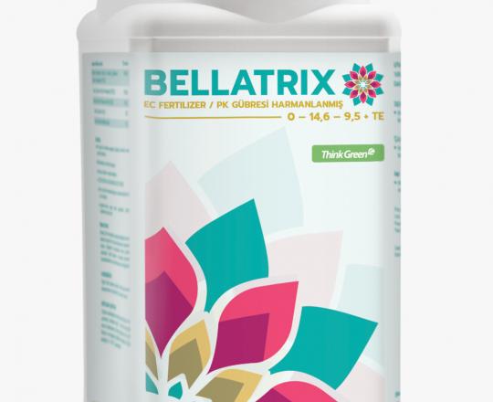 BELLATRIX