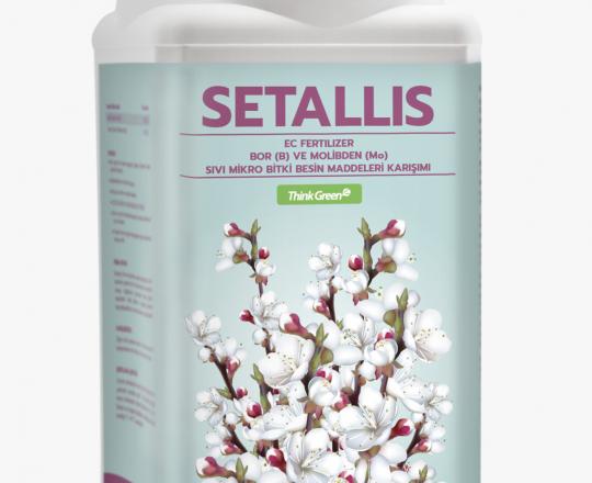 SETALLIS