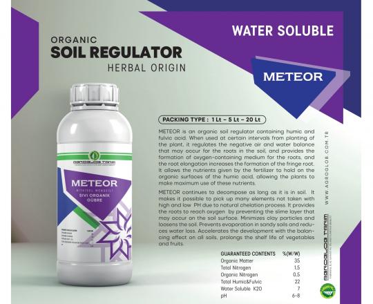 Meteor