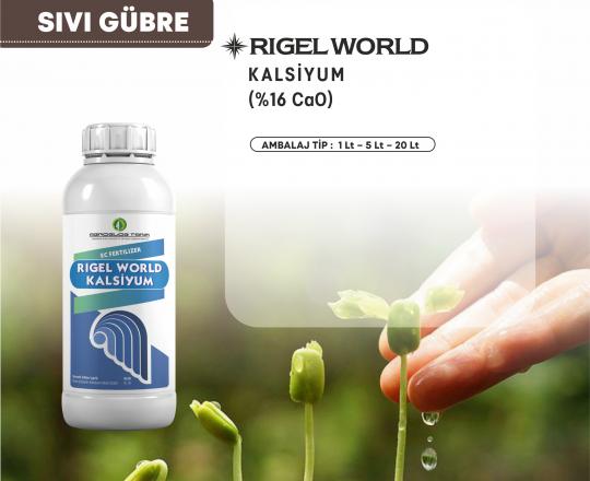 Rigel World Kalsiyum