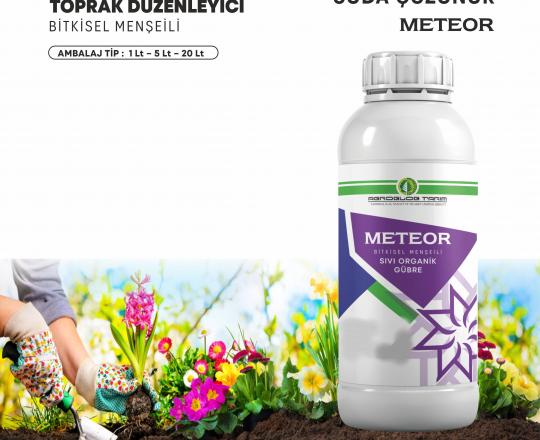 METEOR