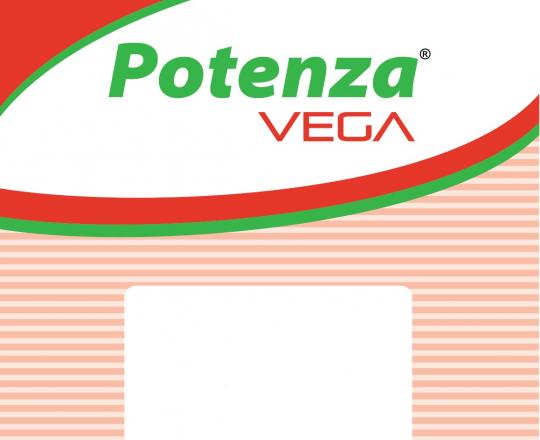 POTENZA VEGA