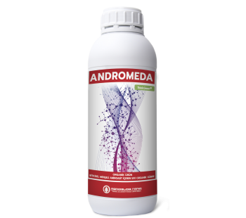 ANDROMEDA 