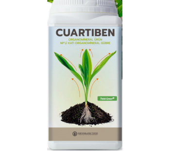 CUARTIBEN