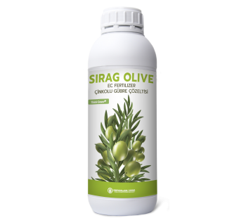 SIRAG OLIVE 