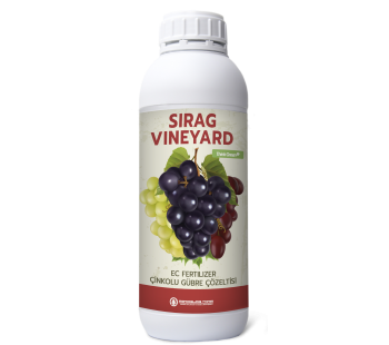 SIRAG VINEYARD