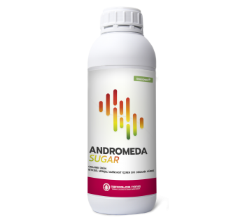 ANDROMEDA SUGAR