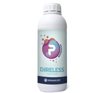 DIRELESS