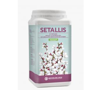 SETALLIS