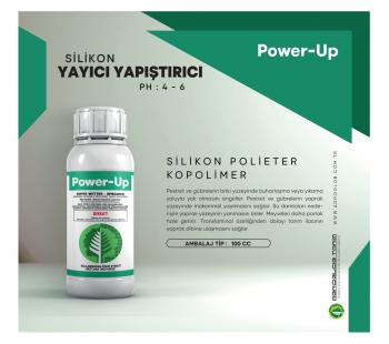 POWER UP
